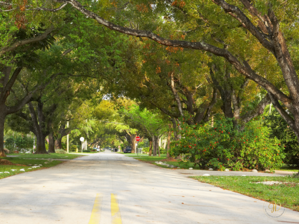 Tree-lined street in Waterloo Ontario family neighbourhood with detached homes