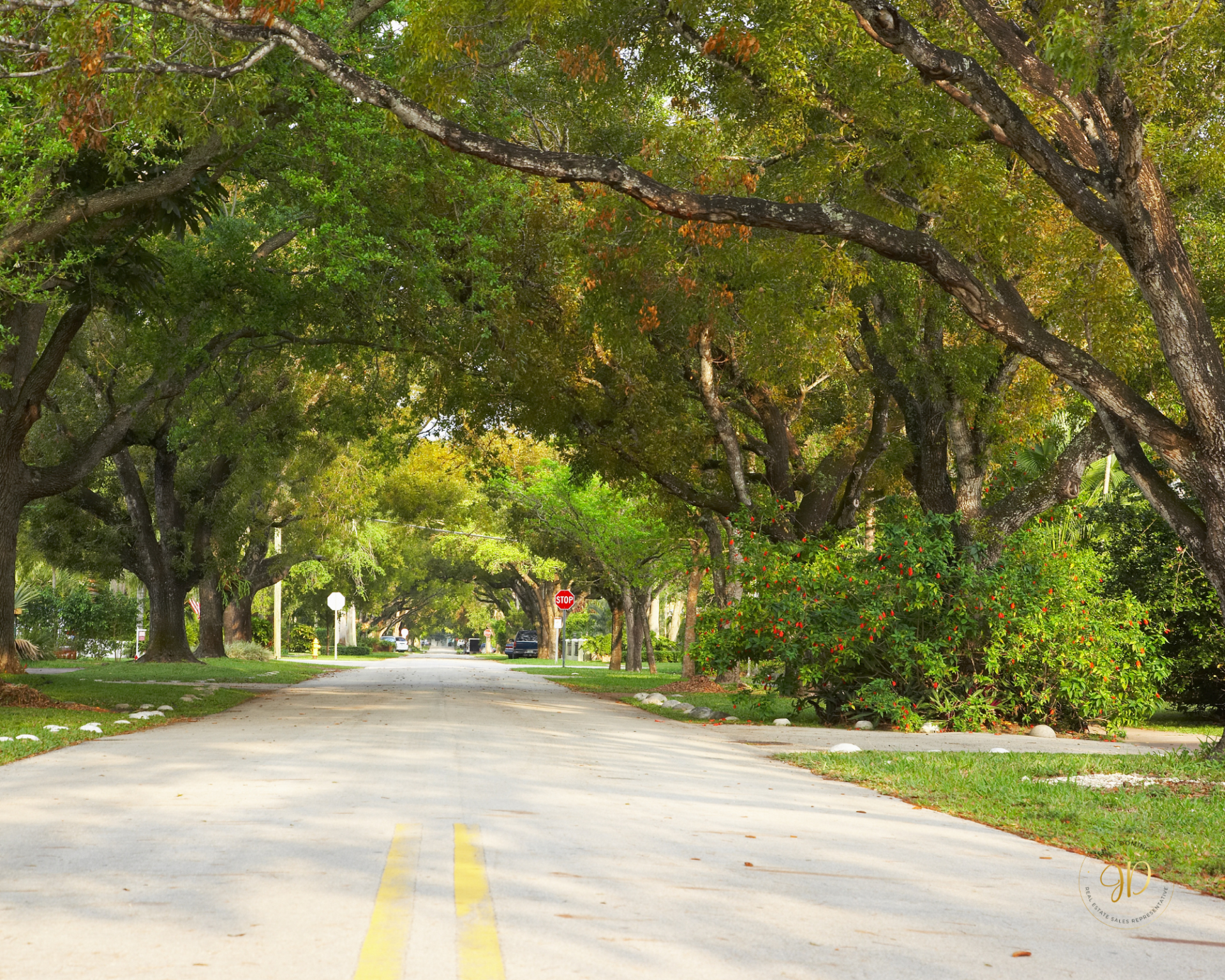 Tree-lined street in Waterloo Ontario family neighbourhood with detached homes